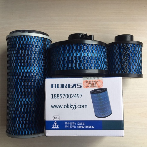 開(kai)山空氣(qì)濾芯_螺(luó)桿空壓(ya)機空濾(lǜ)總成